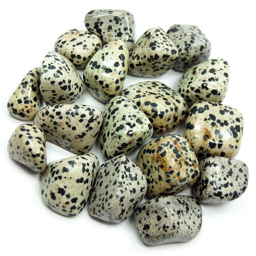 Hiottu dalmatian jasper -kivi